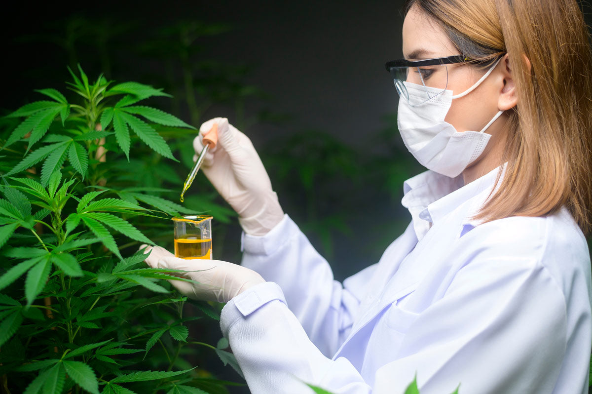 Choosing the Right CBD