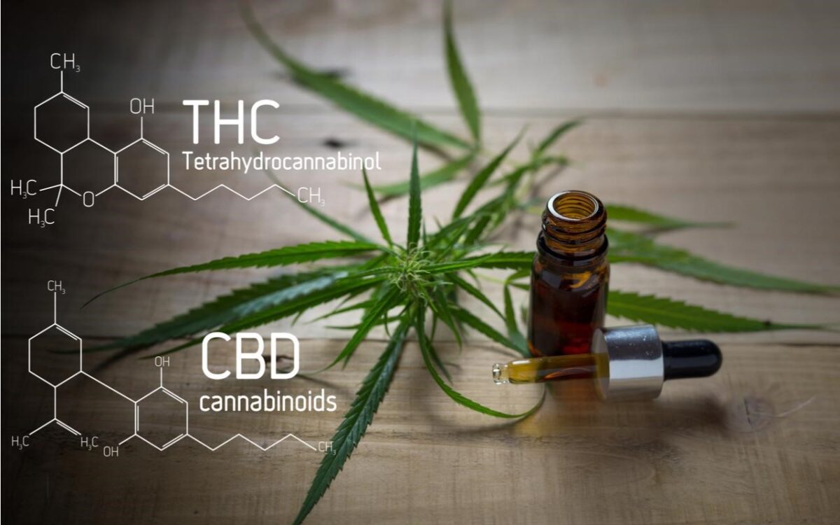 Does CBD Have THC In It?